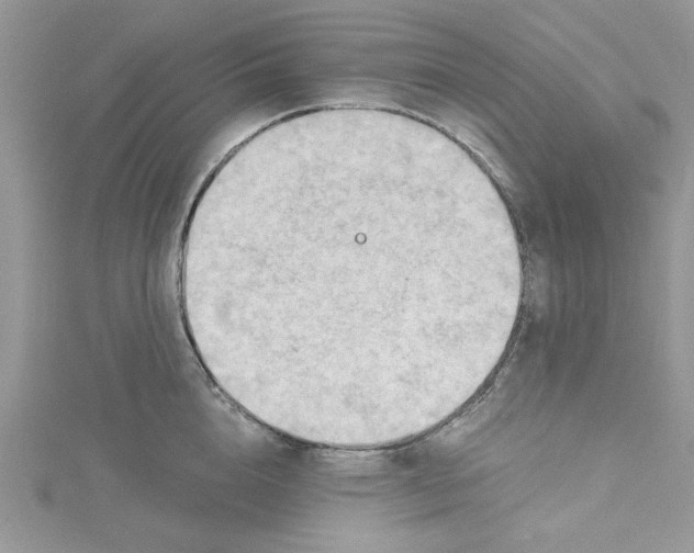 X0000114630856200911171008