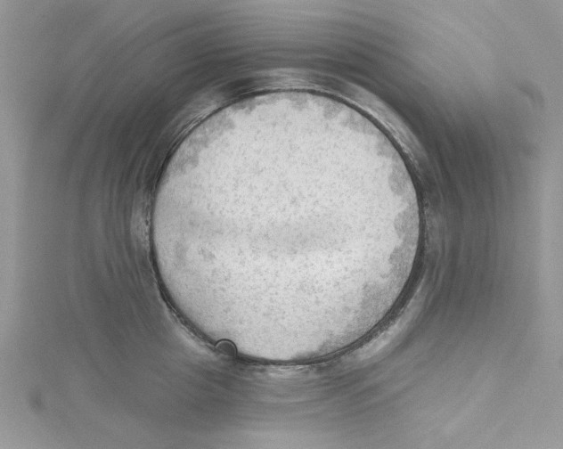 X0000114630857200911171008