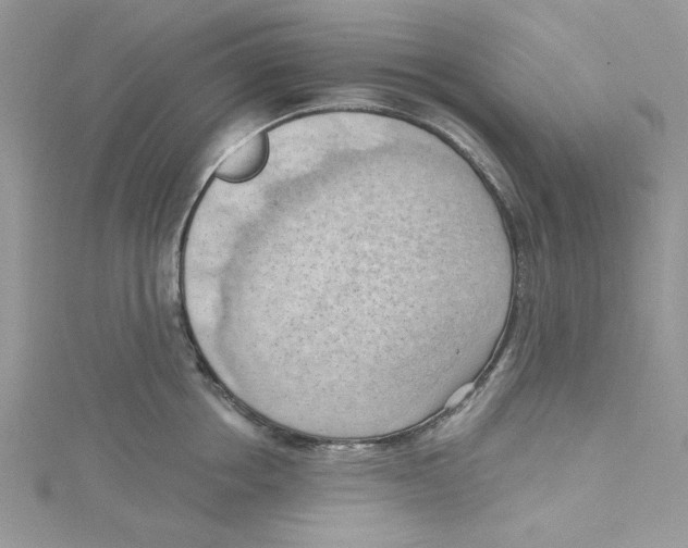 X0000114630858200911171008