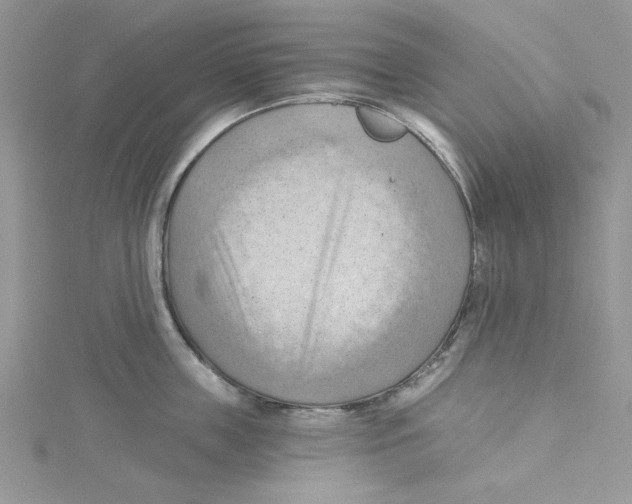 X0000114630859200911171008