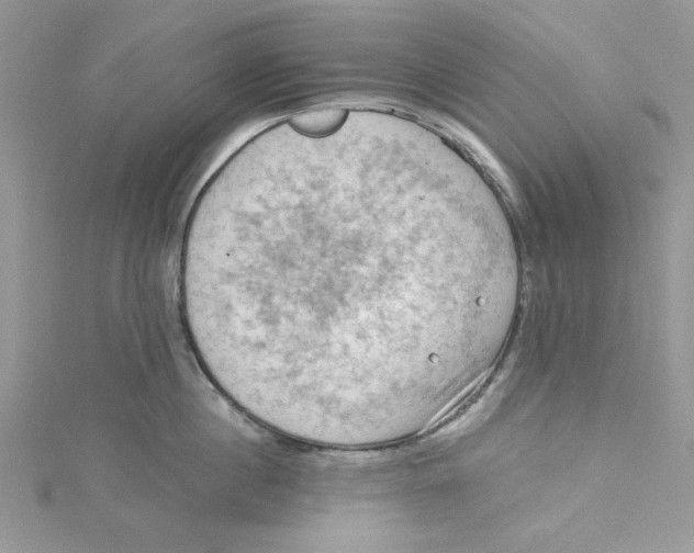 X0000114630860200911171008