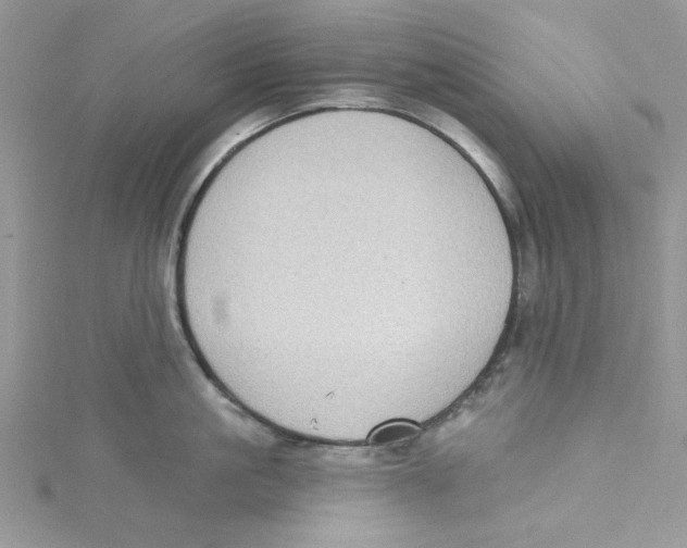 X0000114630861200911171008