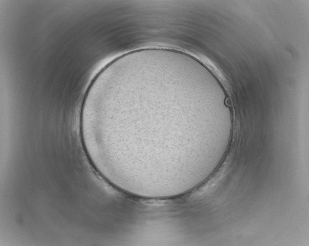 X0000114630862200911171009