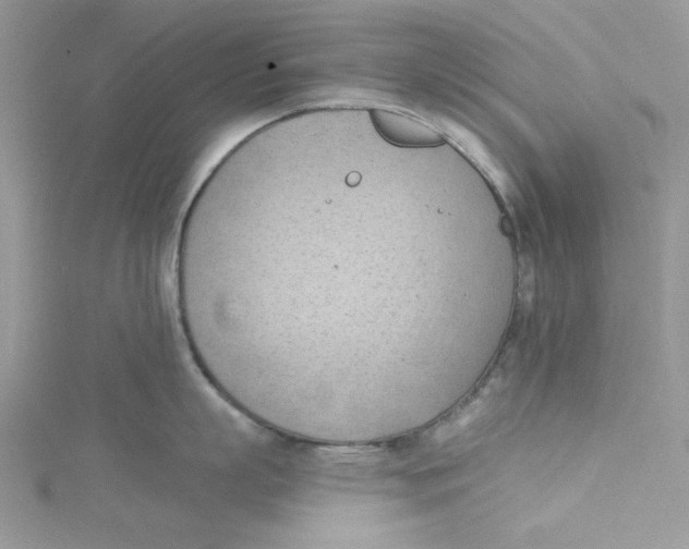 X0000114630863200911171009