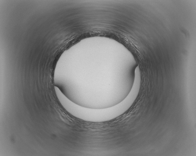 X0000114630868200911171008