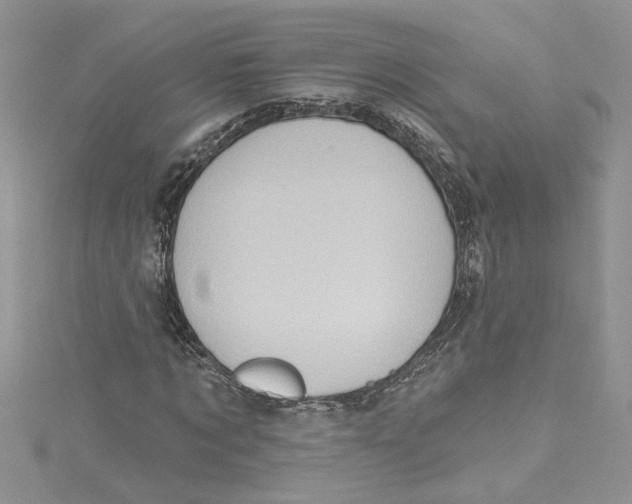 X0000114630869200911171008