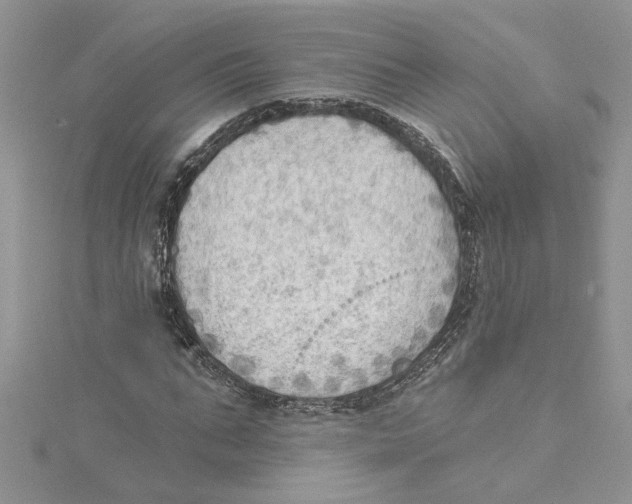 X0000114630871200911171008