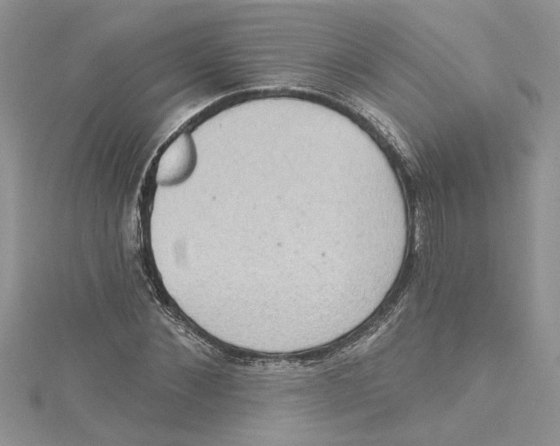 X0000114630876200911171008