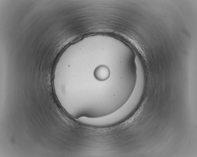 X0000114630881200911171008