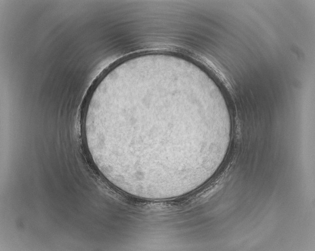 X0000114630883200911171008