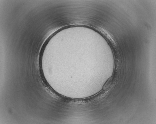 X0000114630884200911171008