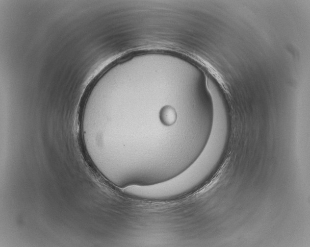 X0000114630885200911171007