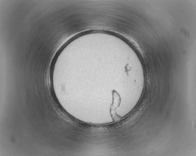 X0000114630887200911171007