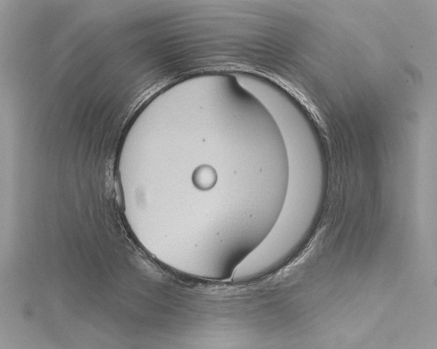 X0000114630889200911171007