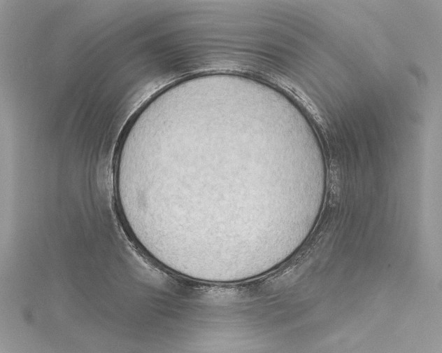 X0000114630890200911171007