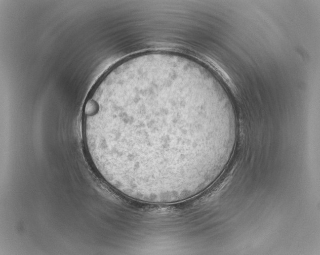 X0000114630891200911171007