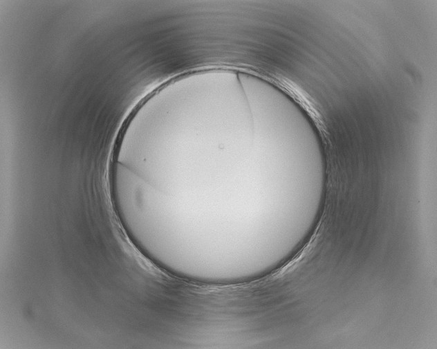 X0000114630892200911171007