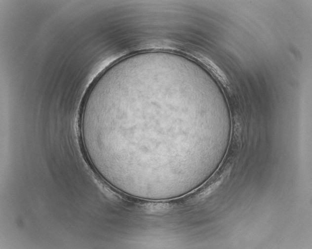 X0000114630893200911171007