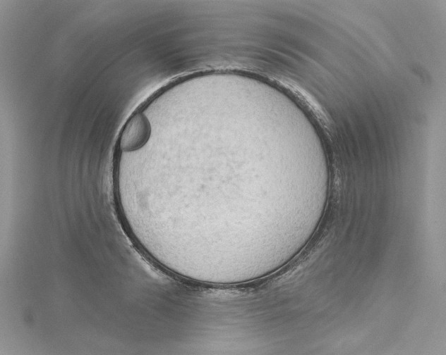 X0000114630894200911171007