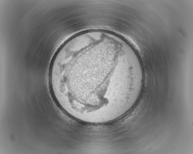 X0000114630895200911171007