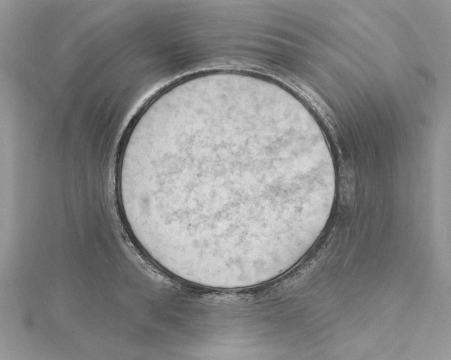 X0000114630896200911171007