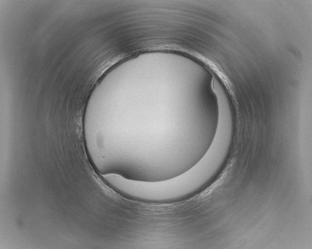 X0000114630897200911171007