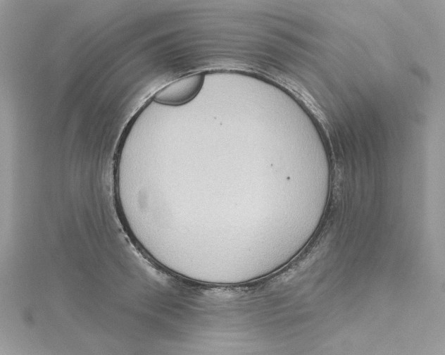 X0000114630898200911171007