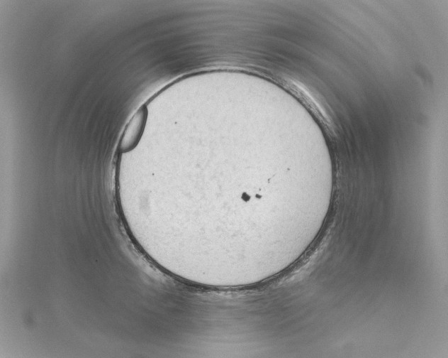 X0000114630900200911171007