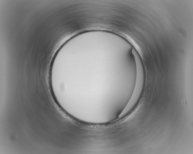 X0000114630901200911171007