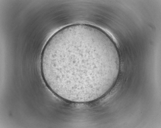 X0000114630903200911171007