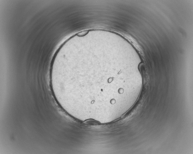 X0000114630904200911171007