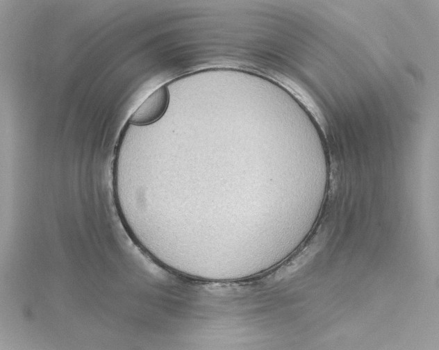 X0000114630906200911171007