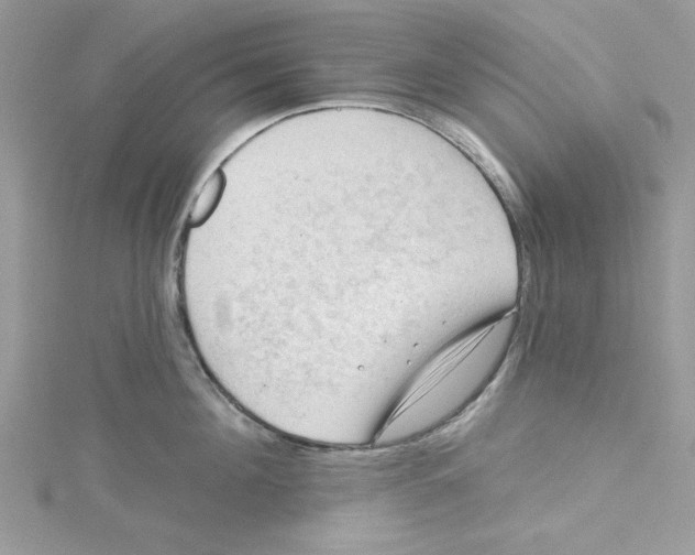 X0000114630908200911171007