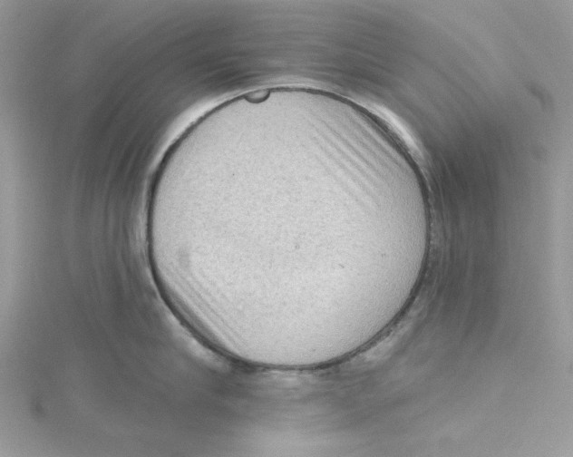 X0000114630910200911171007