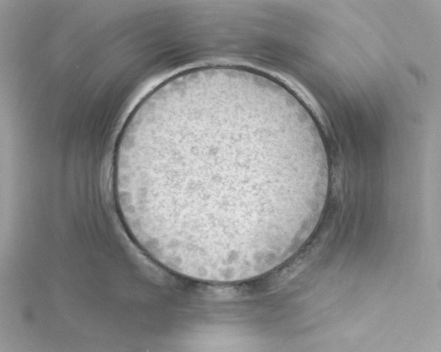 X0000114630911200911171007