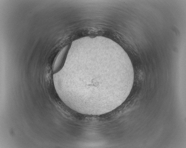 X0000114630914200911171006