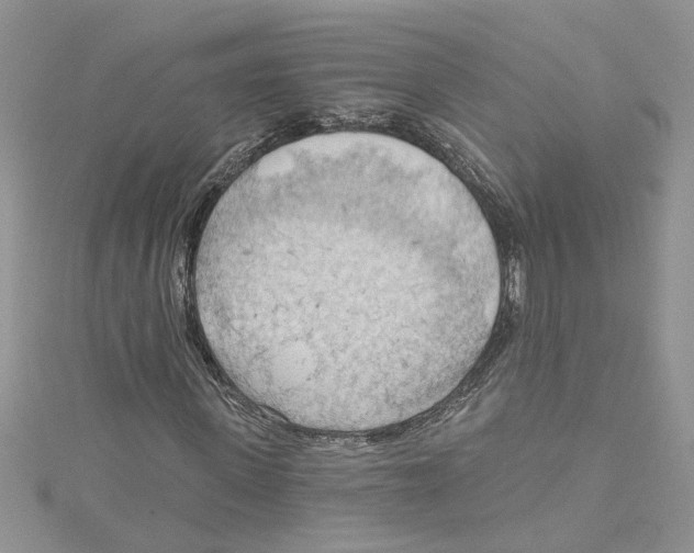 X0000114630915200911171006