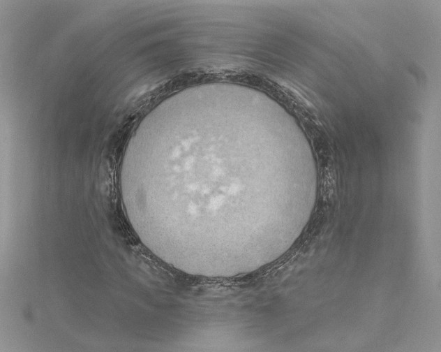 X0000114630917200911171006