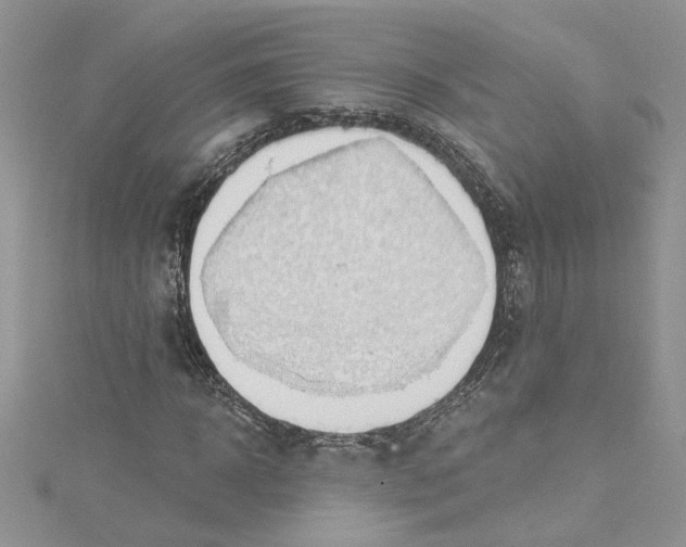 X0000114630918200911171006