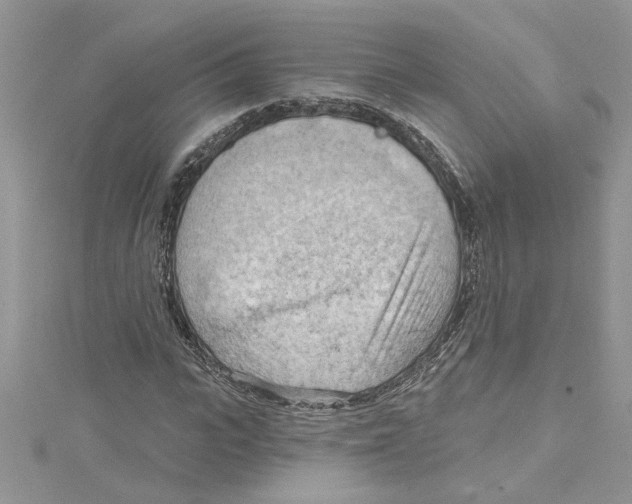 X0000114630919200911171006