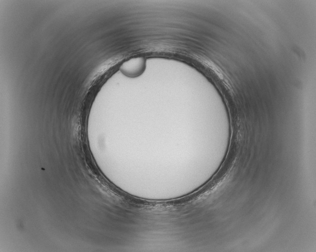 X0000114630922200911171006