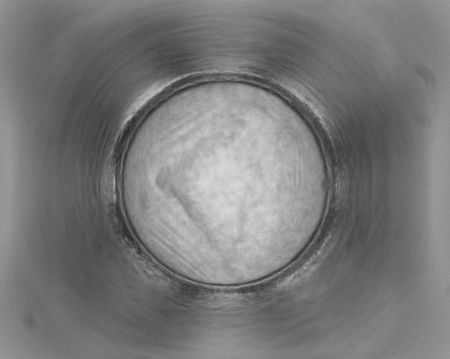 X0000114630925200911171007