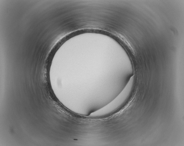 X0000114630926200911171007