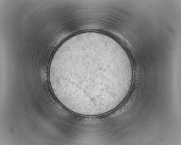 X0000114630929200911171007