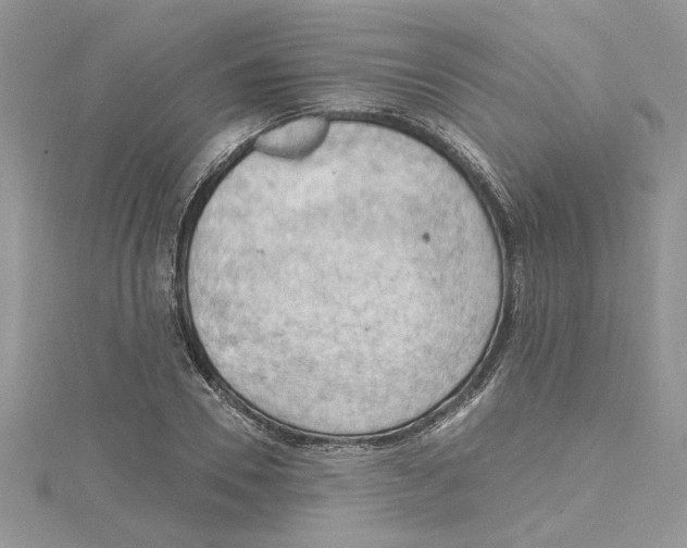 X0000114630930200911171007