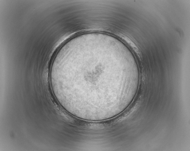 X0000114630933200911171007