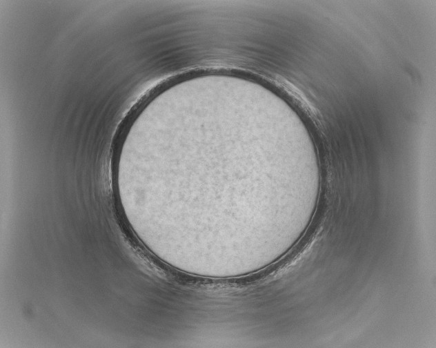 X0000114630934200911171007