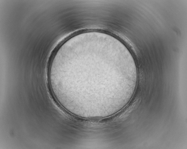 X0000114630935200911171007