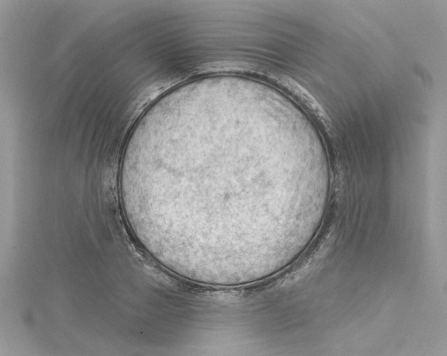 X0000114630937200911171007