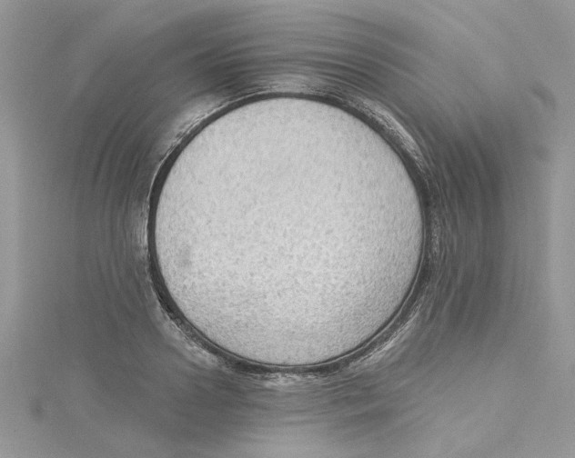 X0000114630938200911171007